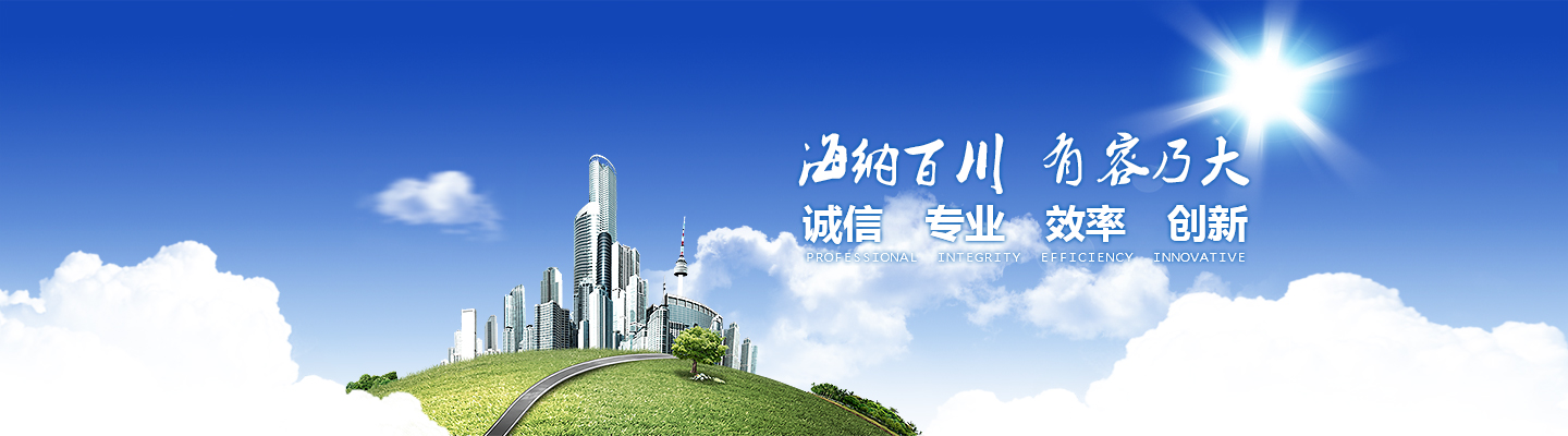 NE板鏈提升機